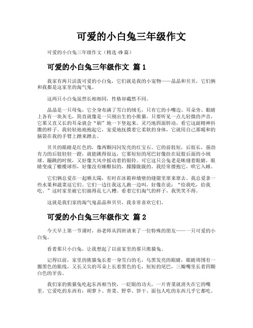 可爱的小白兔三年级作文