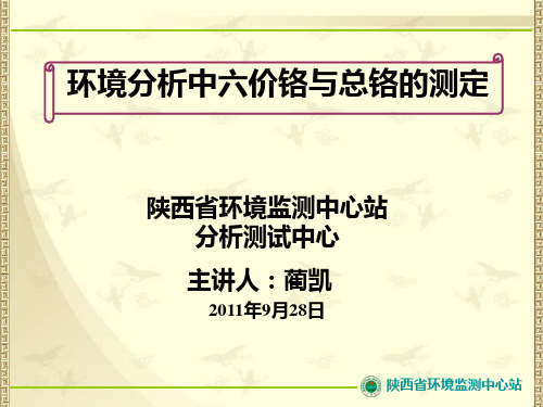 环境分析中六价铬与总铬的测定 蔺凯