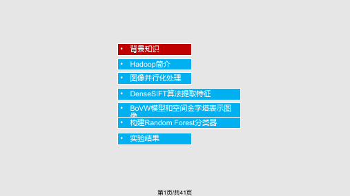 基于Hadoop平台的随机森林算法研究及图像分类系统实现PPT课件