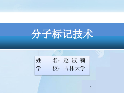 分子标记技术的类型原理及应用  ppt课件