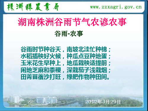 湖南株洲谷雨节气农谚农事