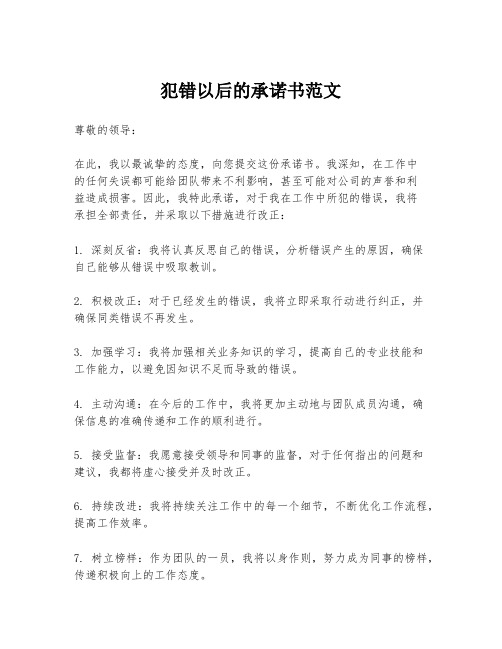 犯错以后的承诺书范文