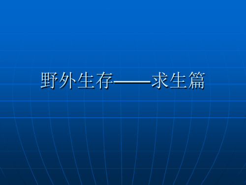 野外生存4求生篇