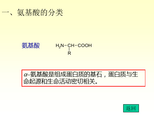 氨基酸的化学性质