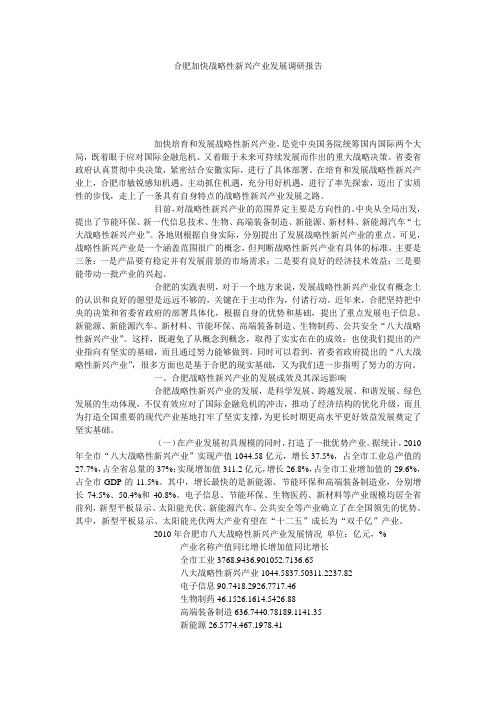 合肥加快战略性新兴产业发展调研报告