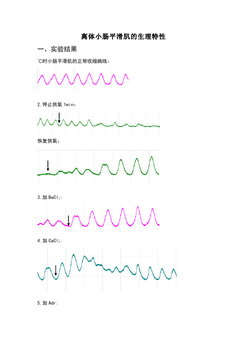 离体小肠平滑肌的生理特性