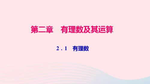 七年级数学上册第二章有理数及其运算2.1有理数作业课件新版北师大版