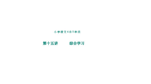 小学年级衔接教材语文4升5年级第15讲语文知识综合运用课件(共19张PPT)