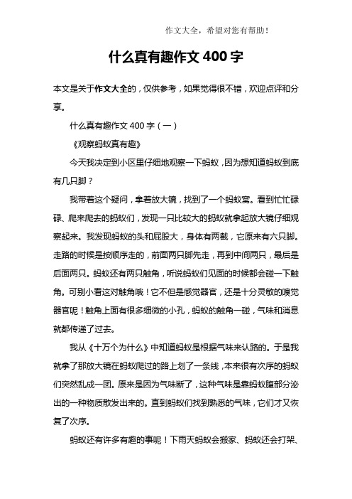 什么真有趣作文400字