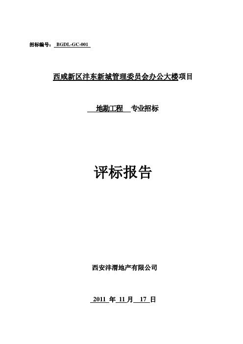 地勘工程评标报告11