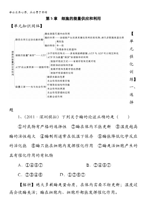 高三生物一轮知识讲解复习学案：第5章《细胞的能量供应和利用》单元复习1