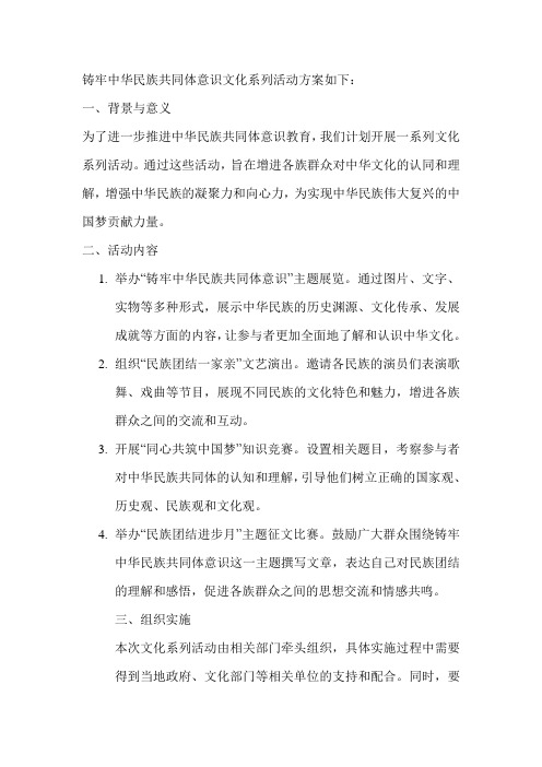 铸牢中华民族共同体意识文化系列活动方案