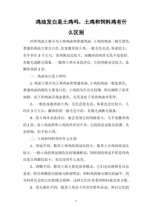 鸡油发白是土鸡吗,土鸡和饲料鸡有什么区别