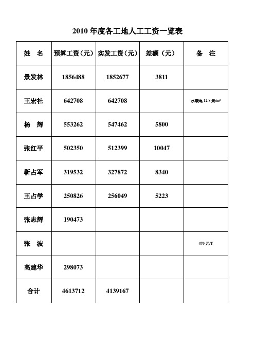 2010年度各工地人工工资一览表