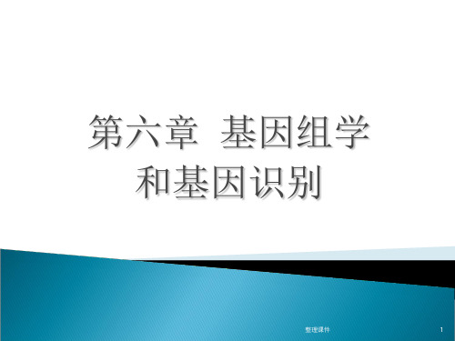 生物信息学第六章基因组学ppt课件