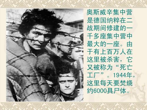 【语文】《图片两组》 课件苏教必修二