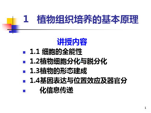 植物组织培养的基本原理PPT课件