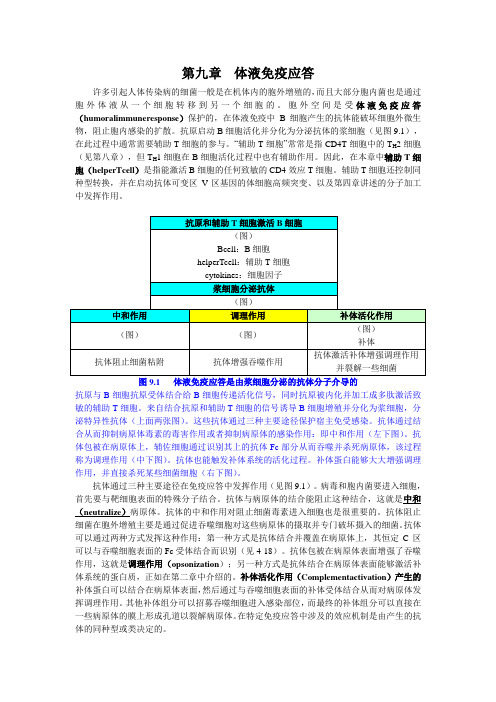 9 体液免疫应答