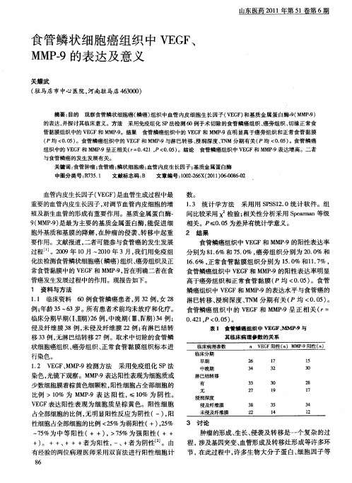 食管鳞状细胞癌组织中VEGF、MMP-9的表达及意义