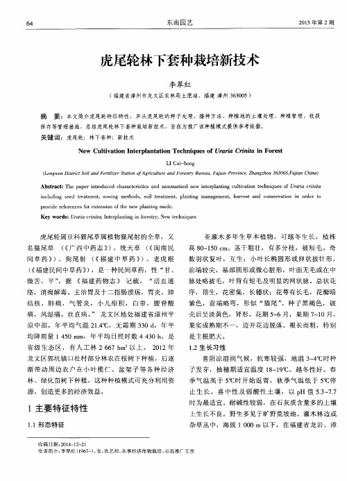虎尾轮林下套种栽培新技术
