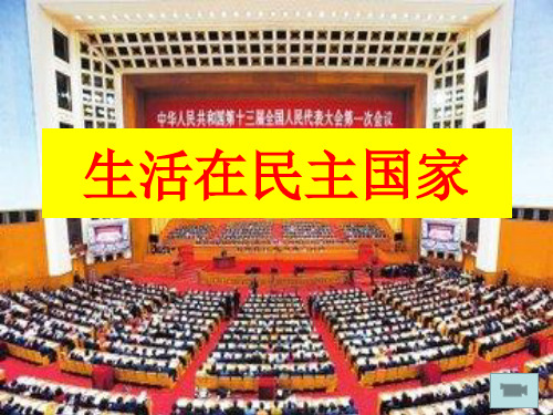 部编版九年级上《生活在民主国家》课件