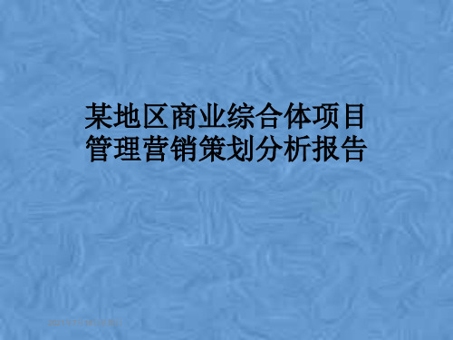 某地区商业综合体项目管理营销策划分析报告