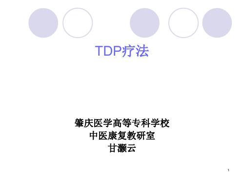 (参考课件)TDP疗法