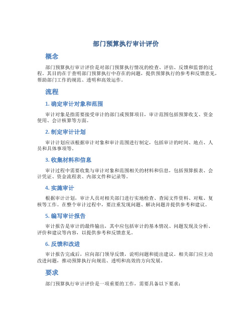 部门预算执行审计评价