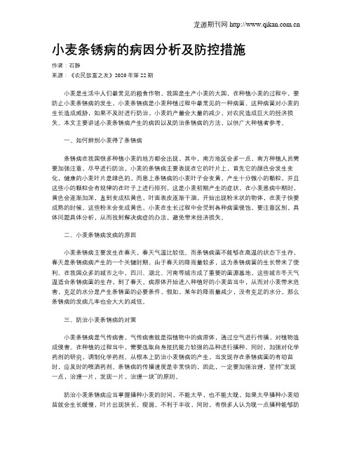 小麦条锈病的病因分析及防控措施