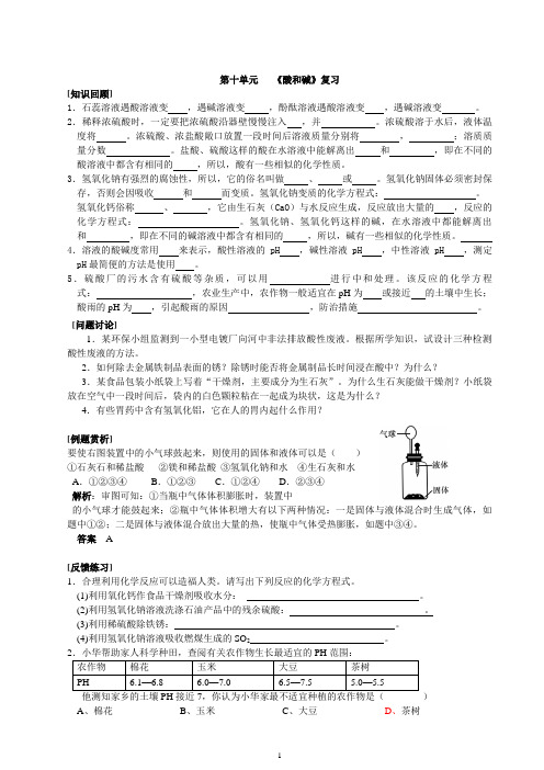 人教九年级化学导学案第十单元复习