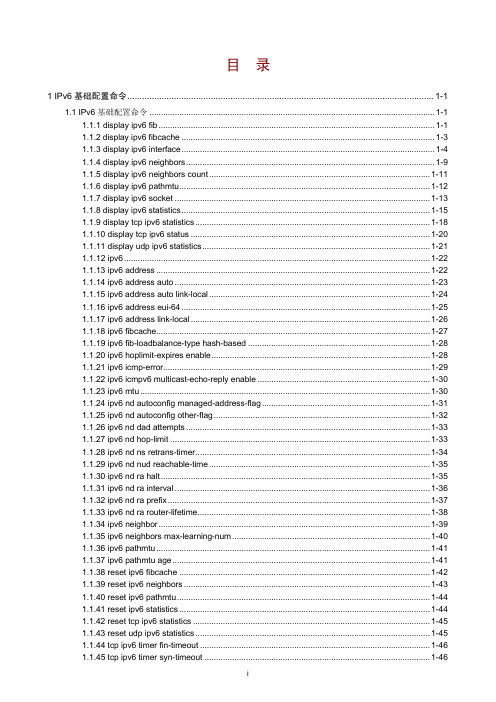 11-IPv6基础命令