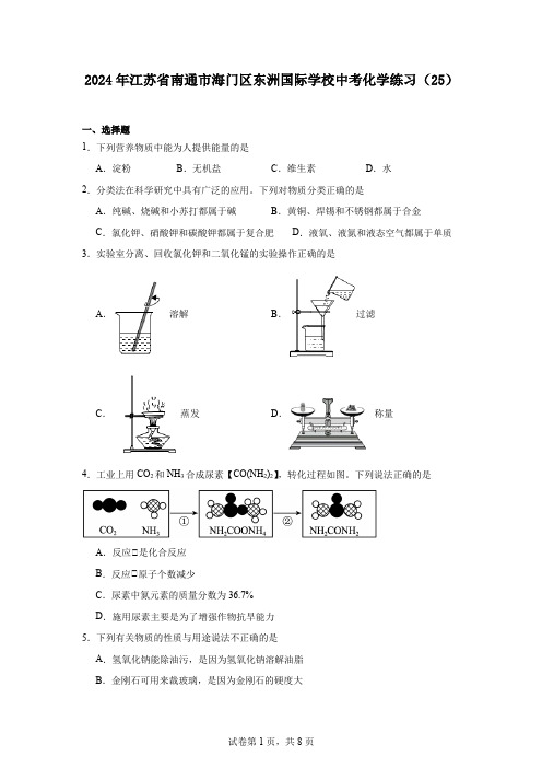 2024年江苏省南通市海门区东洲国际学校中考化学练习(25)