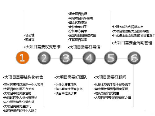 大项目售前计划PPT课件