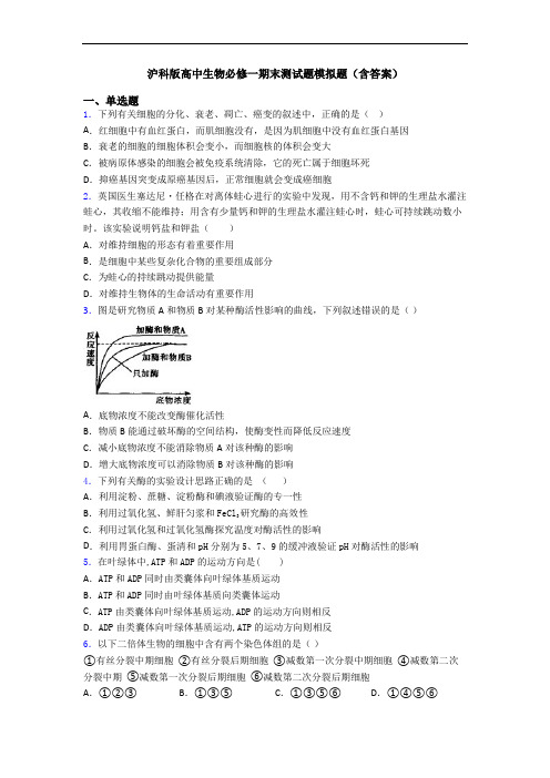 沪科版高中生物必修一期末测试题模拟题(含答案)