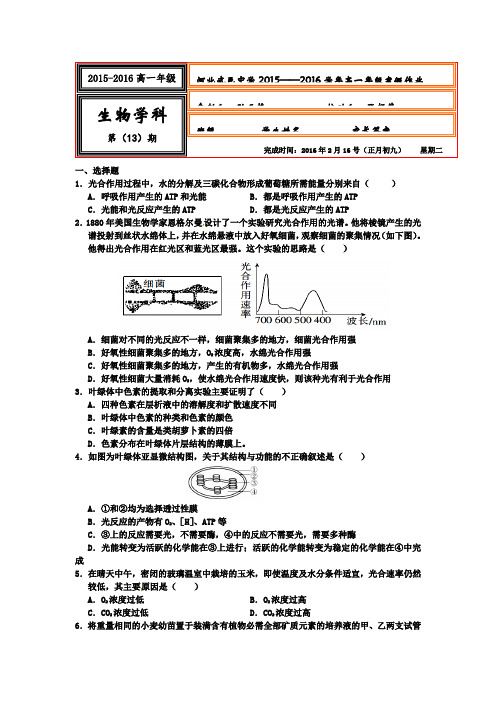 河北省武邑中学2015-2016学年高一上学期生物寒假作业13 Word版含答案