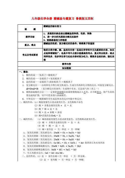 九年级化学全册 酸碱盐专题复习 鲁教版五四制