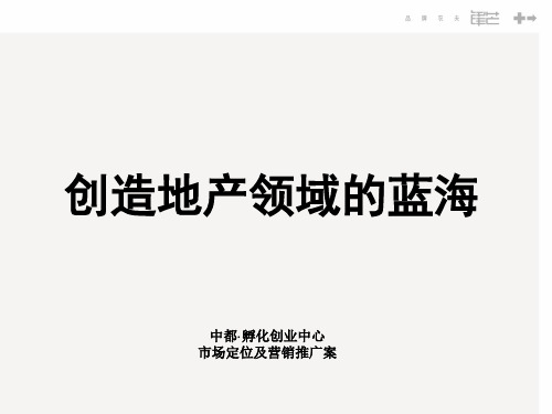 杭州中都孵化创业中心市场定位及营销推广案-100页-2007年