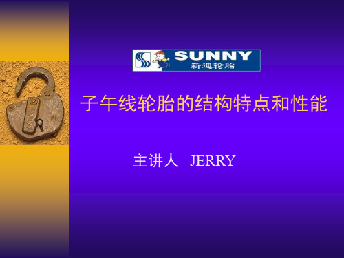 子午线轮胎基本知识JERRY