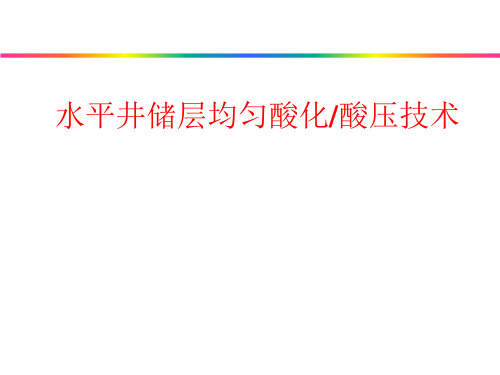 水平井储层均匀酸化酸压技术精品PPT课件