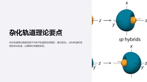 杂化轨道理论要点