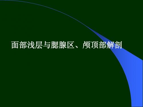 13面部浅层、腮腺区、颅顶部解剖