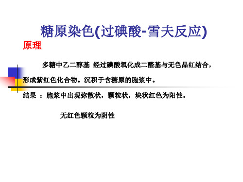 血液学检验糖原染色2.2.4 过碘酸-雪夫反应(PSA)