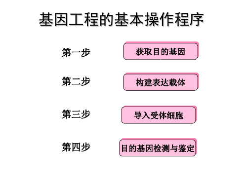 专题1基因工程_1[1].2基因工程的基本操作程序PPT幻灯片