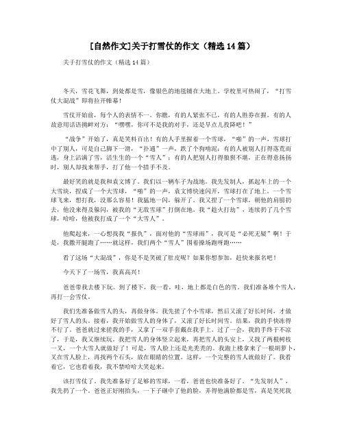 [自然作文]关于打雪仗的作文(精选14篇)