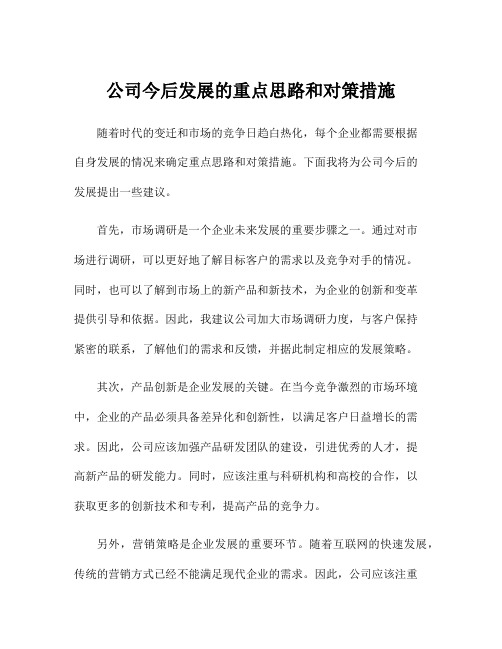 公司今后发展的重点思路和对策措施