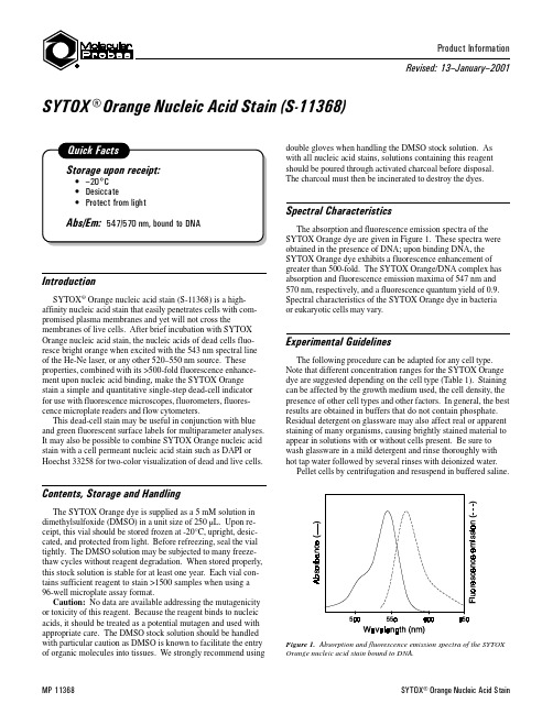 SYTOXOrangeNucleicAcidStainSYTOX橙核酸染色