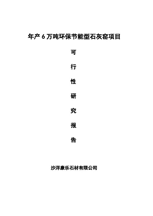 年产6万吨环保节能石灰窑可行性研究报告