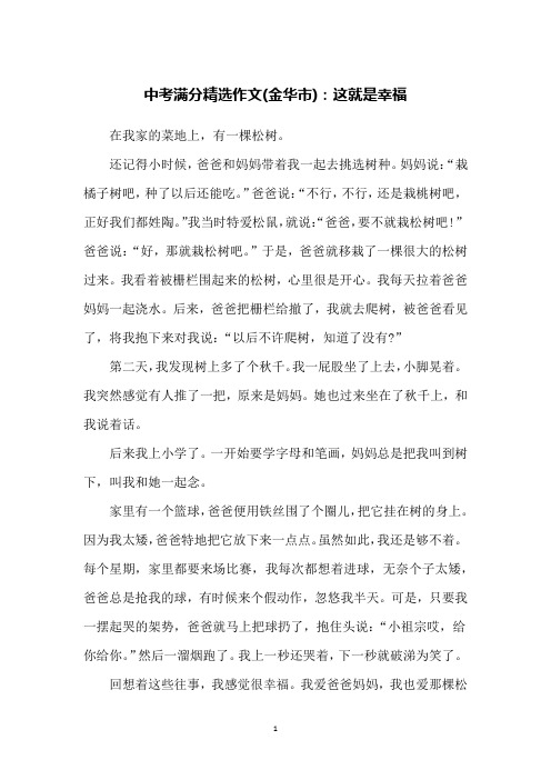 中考满分精选作文(金华市)：这就是幸福