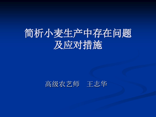 简析小麦生产中存在问题及应对措施