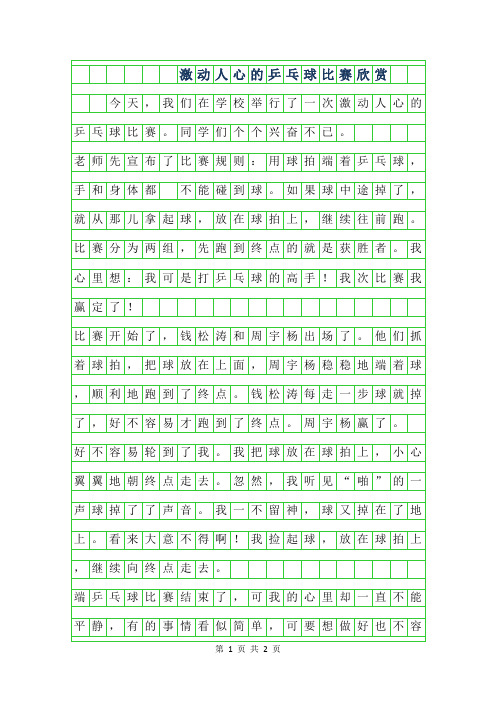 2019年激动人心的乒乓球比赛作文300字欣赏